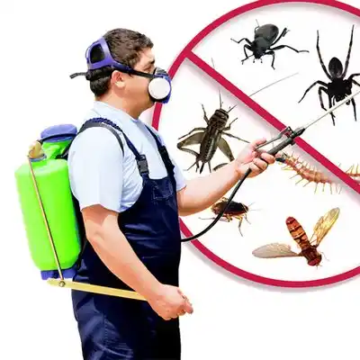 pest control Artesia